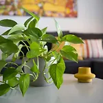 South 겐나디